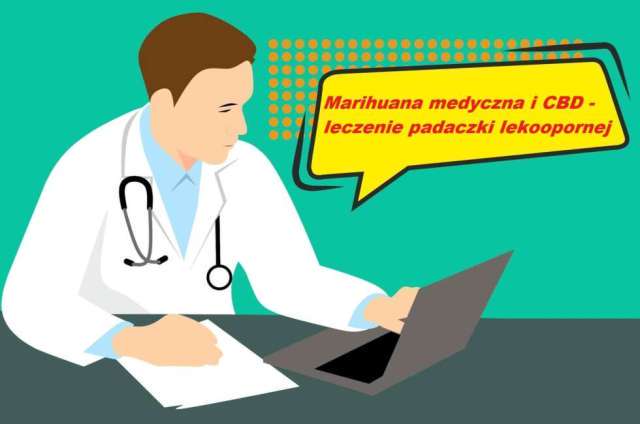 cbd i medyczna marihuana w leczeniu padaczki lekkooporowej (1)
